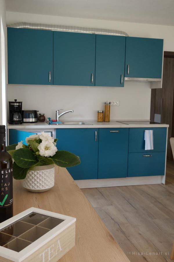 Hisa Lenart Apartment โทลมิน ภายนอก รูปภาพ