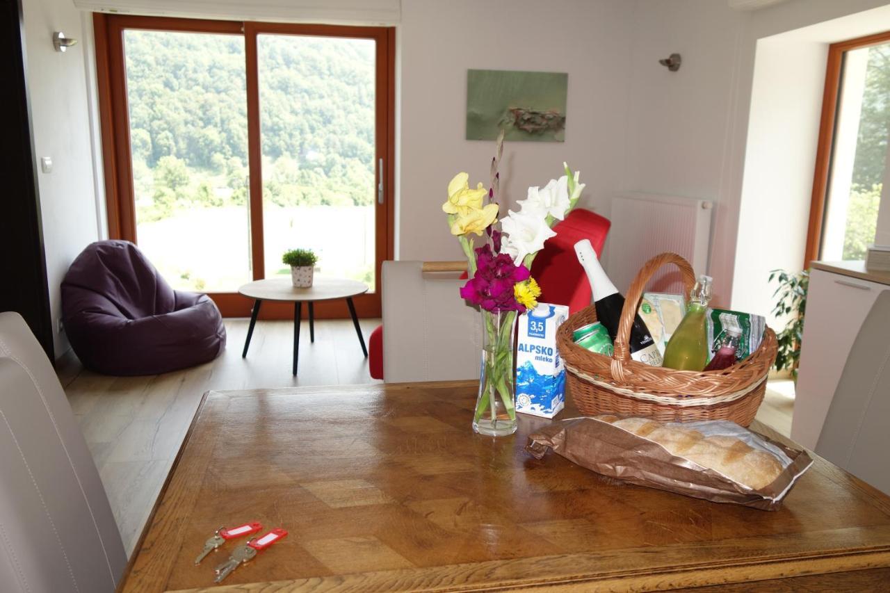 Hisa Lenart Apartment โทลมิน ภายนอก รูปภาพ